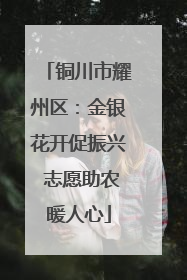 铜川市耀州区：金银花开促振兴 志愿助农暖人心